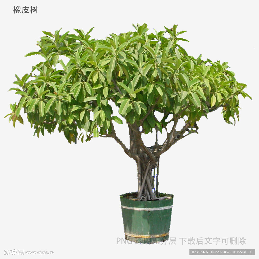 精致綠植盆景