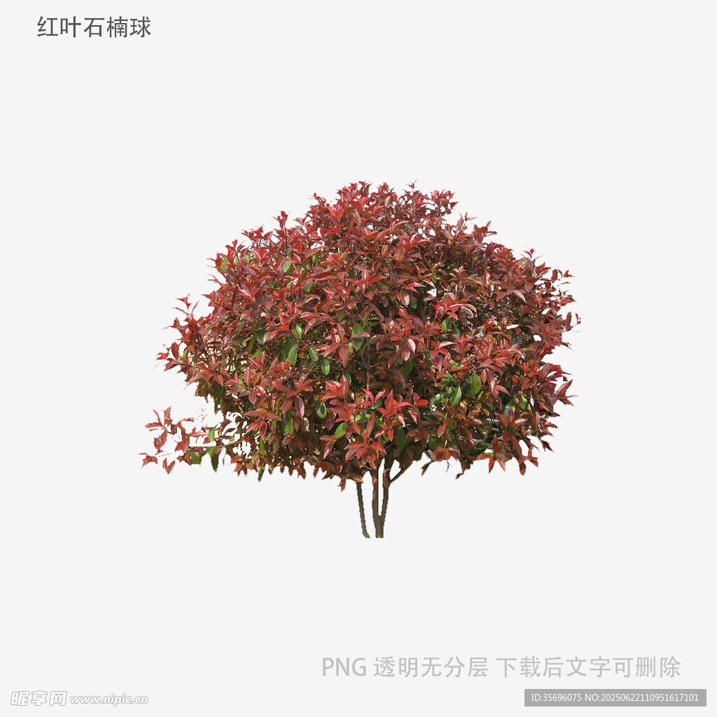 紅葉灌木植物3D模型