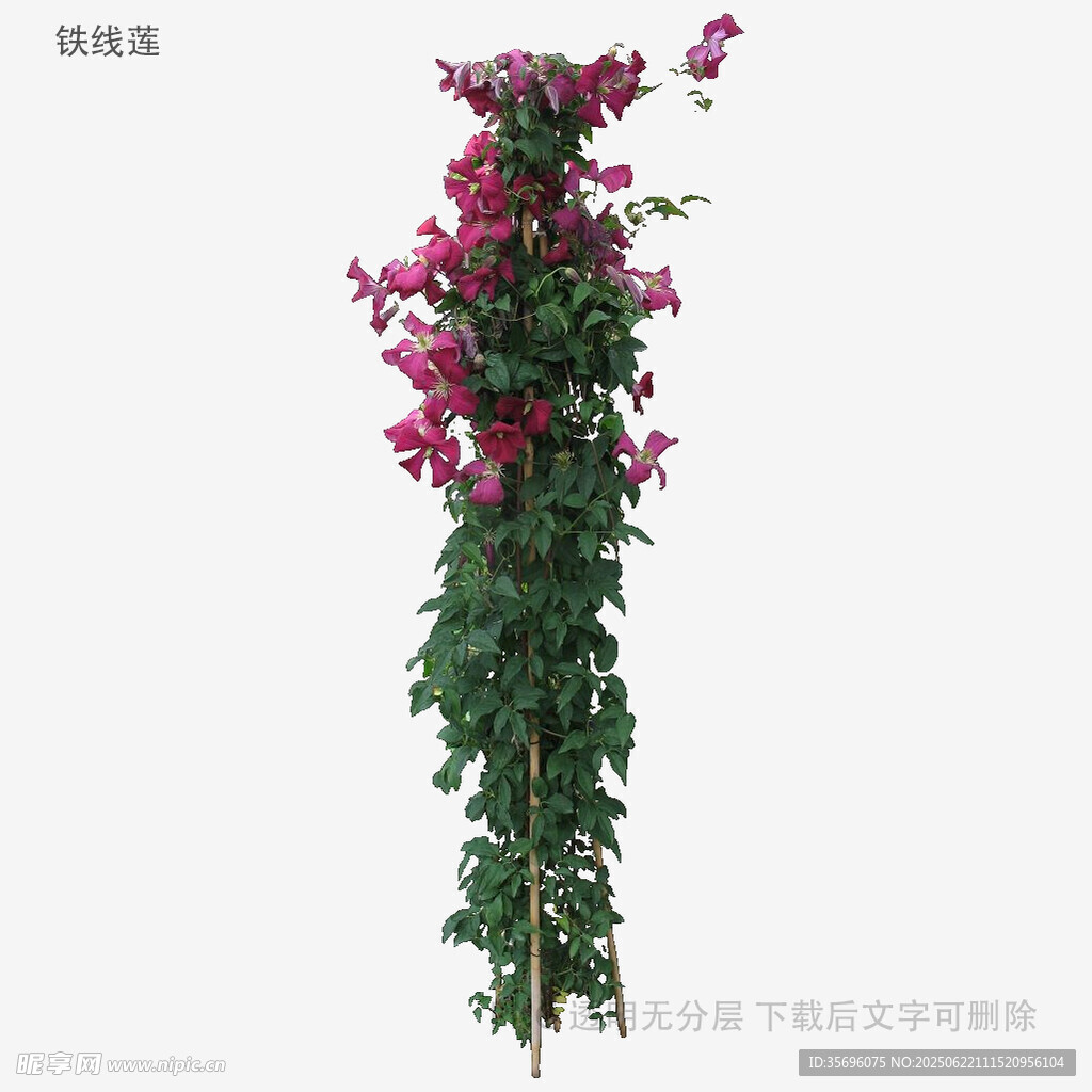 仿真三角梅垂吊綠植裝飾