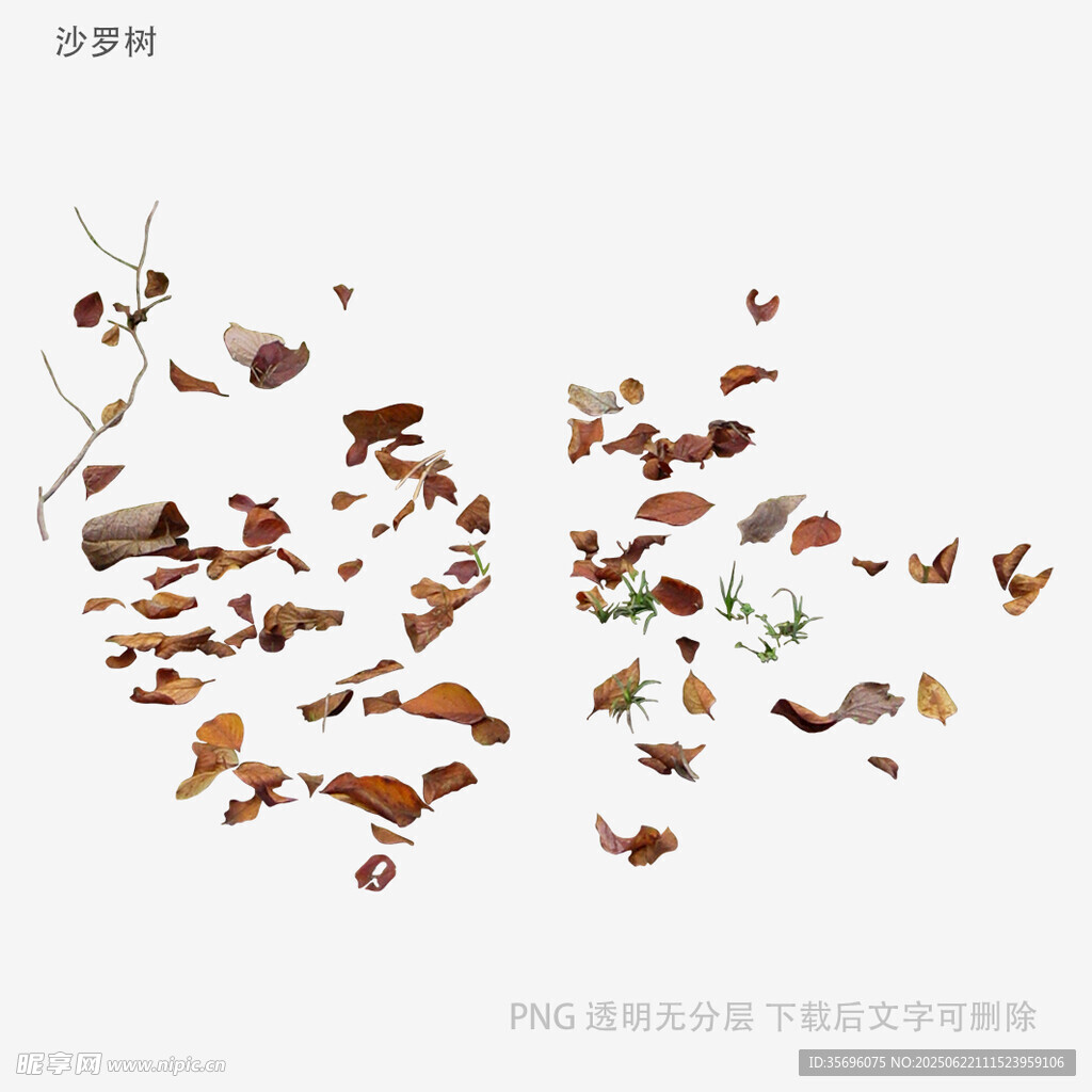 飄落的多彩樹葉藝術畫面