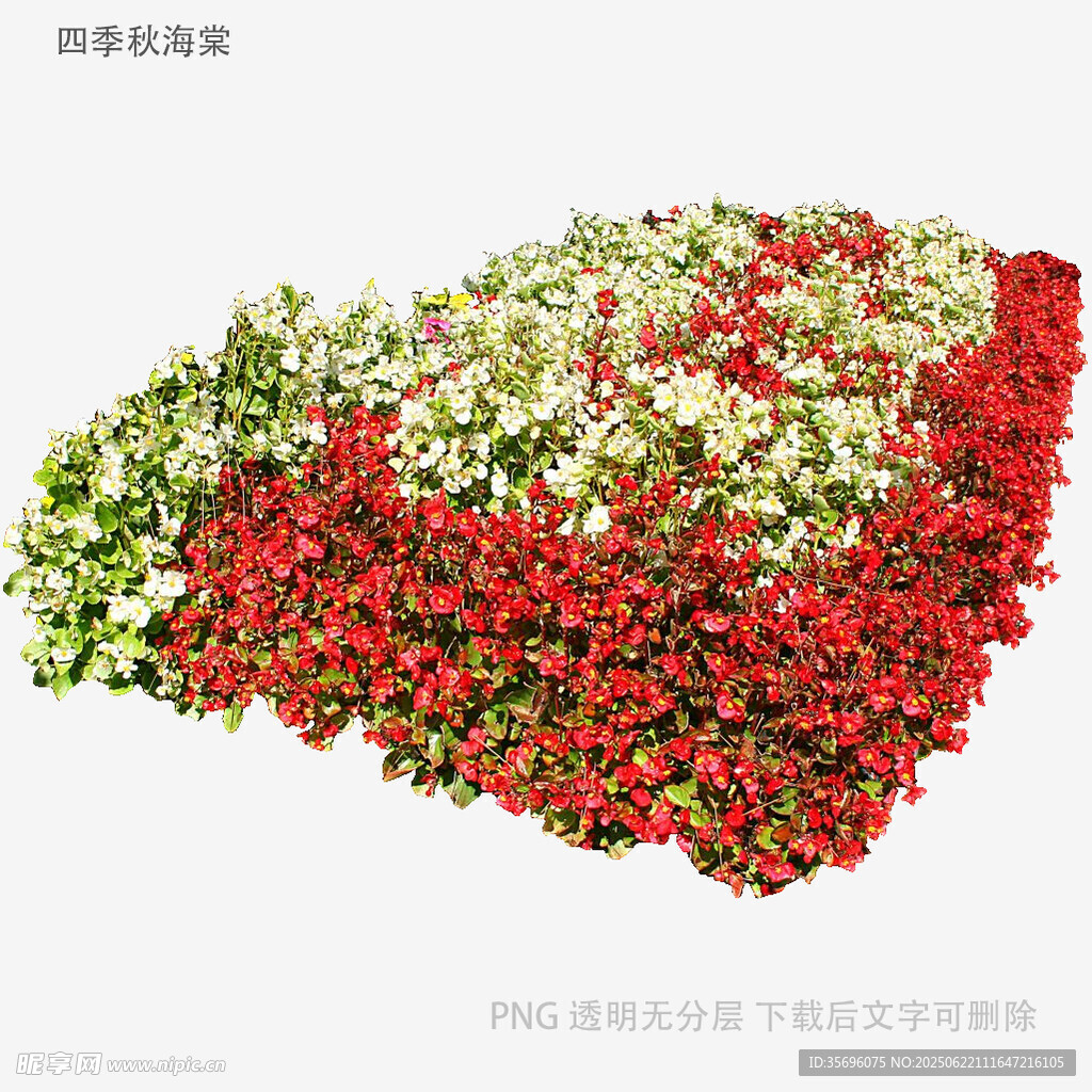 多彩花卉組成的美麗圖案