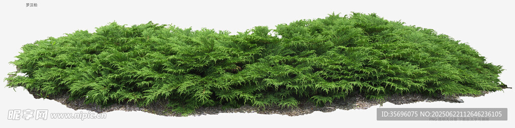 翠綠仿真植物墻裝飾素材