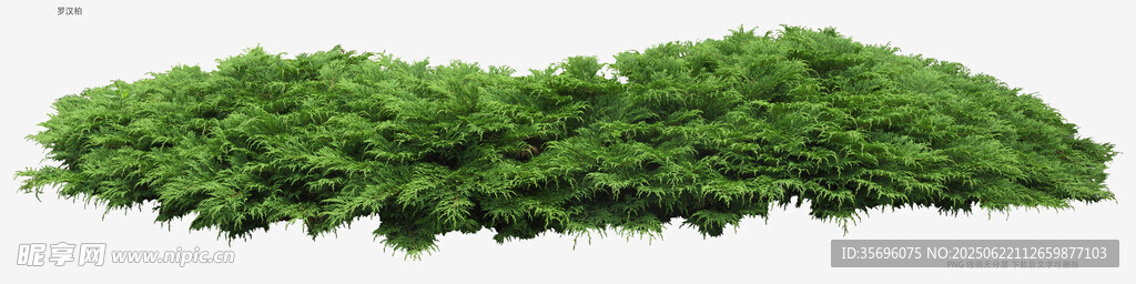 綠色仿真植物墻裝飾素材