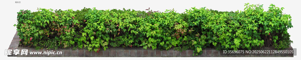 綠色仿真植物墻裝飾擺件