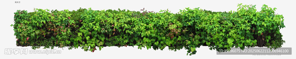 綠色植物墻裝飾素材