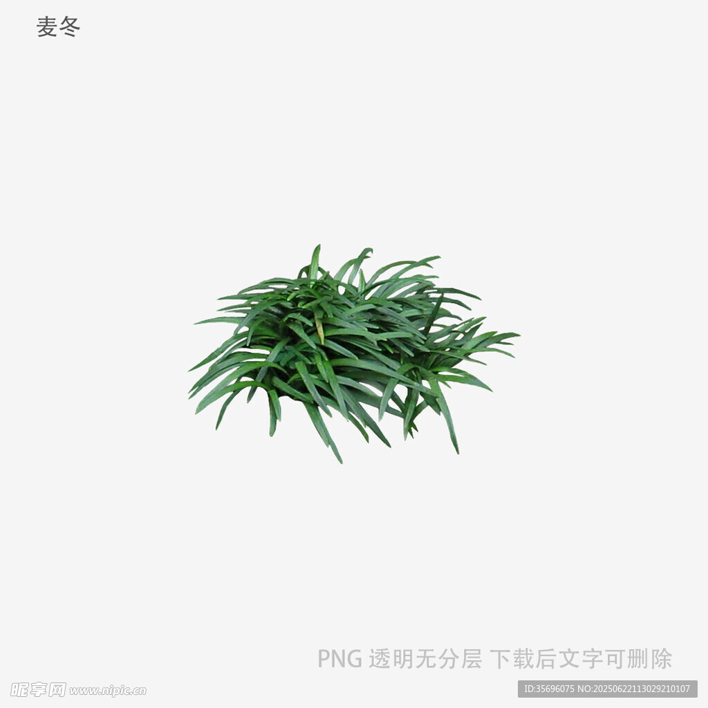 翠綠叢生小草