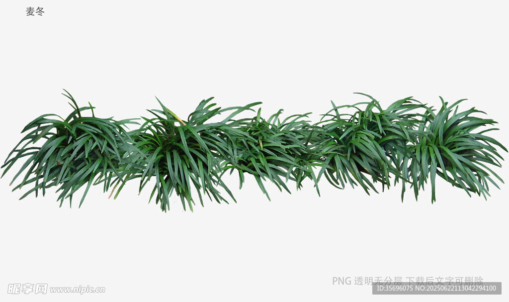綠色仿真植物裝飾藤條