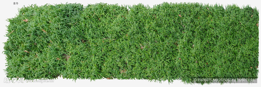 綠色仿真植物墻裝飾板