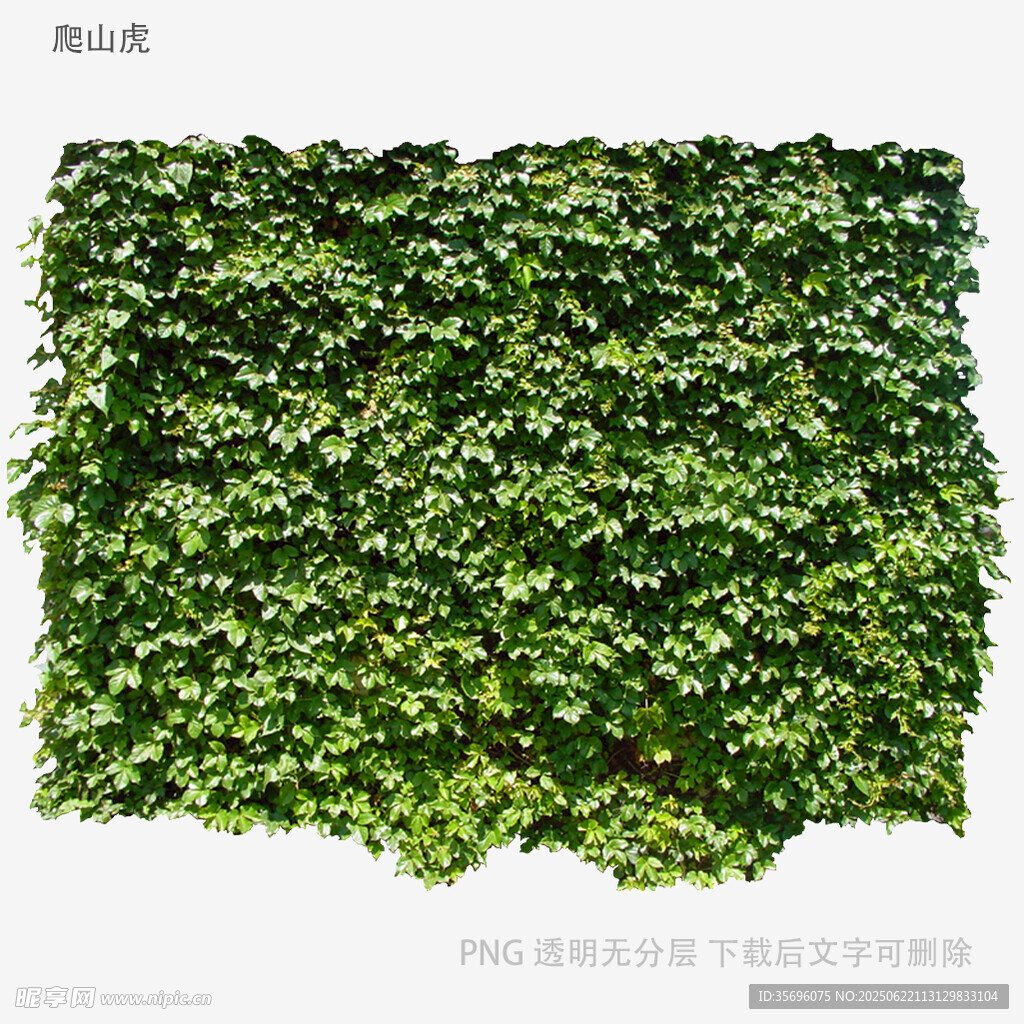 翠綠繁茂的仿真綠植墻