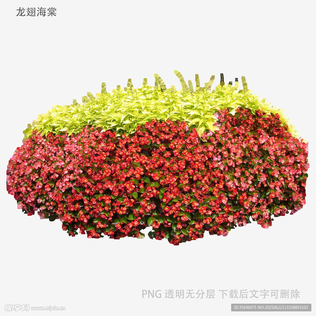 多彩花卉組合景觀
