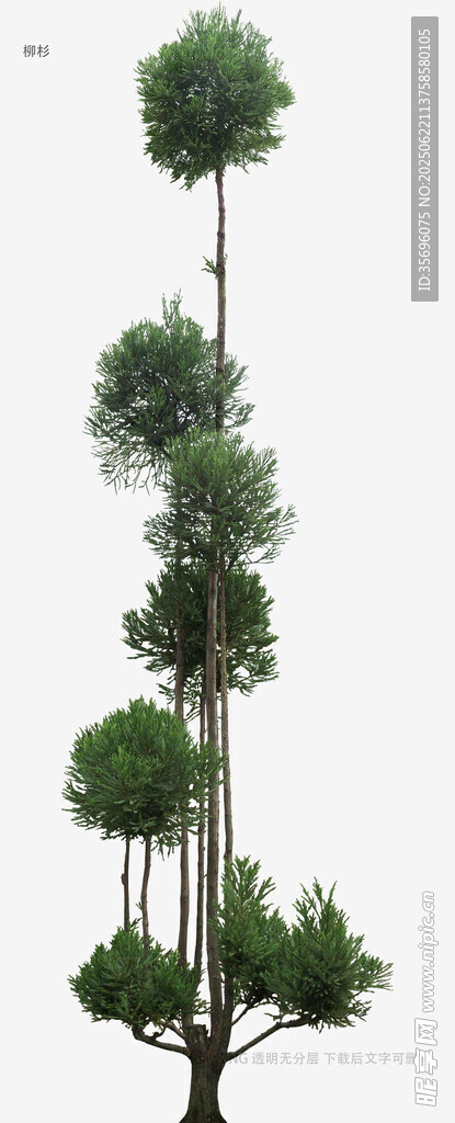 獨(dú)特造型多層綠植盆景