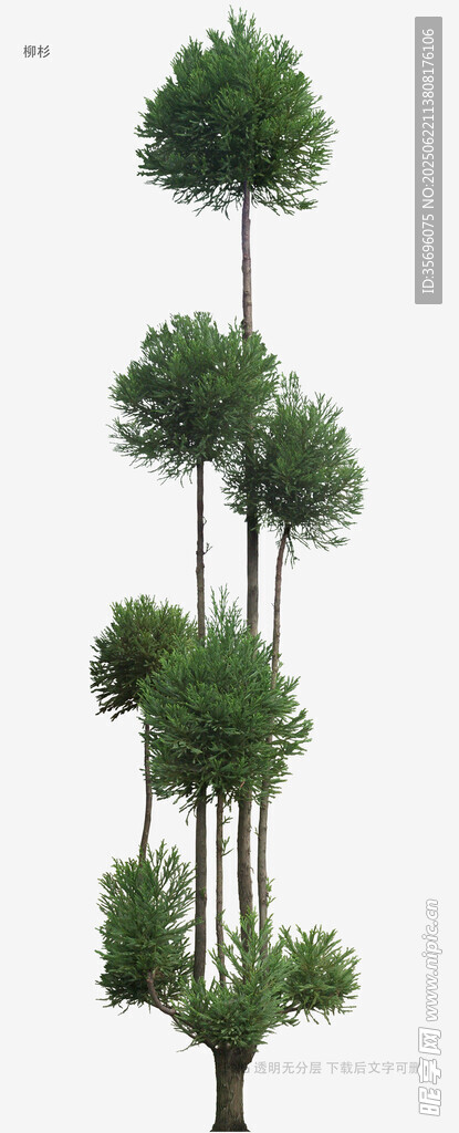 獨(dú)特造型的多層綠植