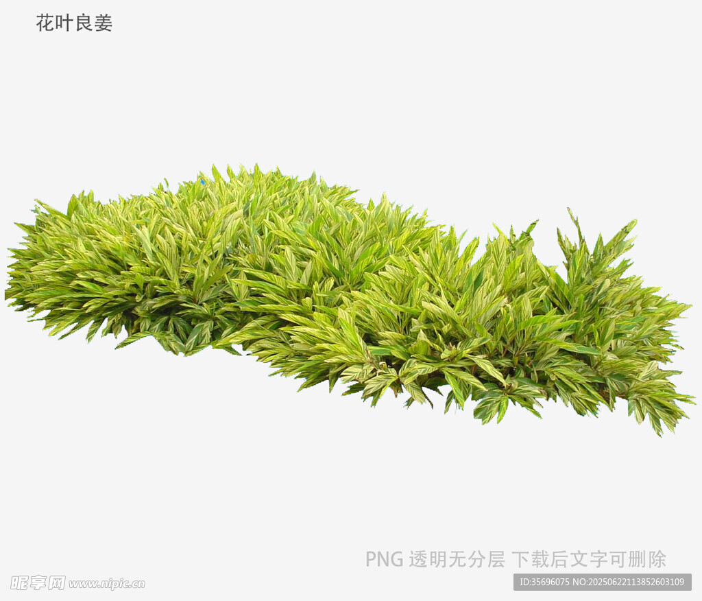 翠綠仿真草皮