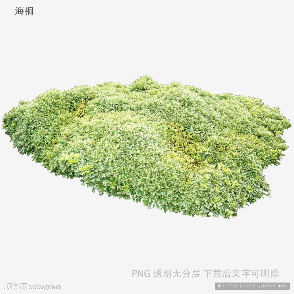 綠色植物堆模型