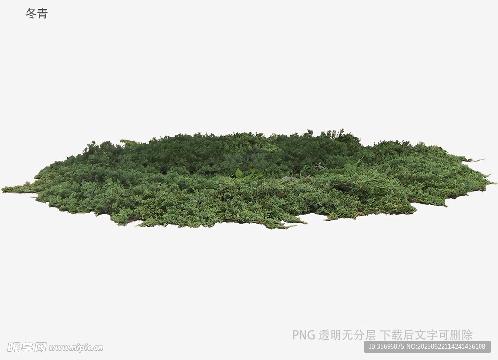 綠色植被3D模型