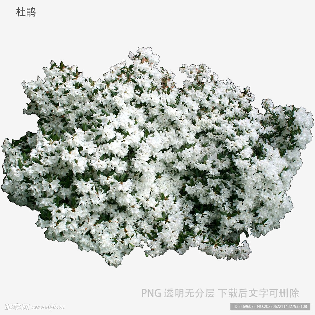 白色簇狀礦石樣本