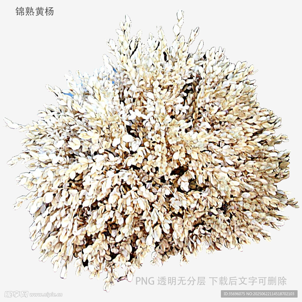雪覆繁花樹景