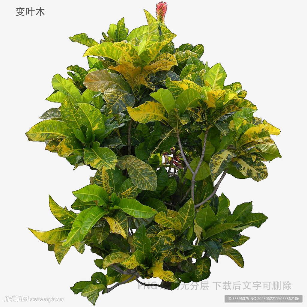 翠綠繁茂的仿真綠植擺件
