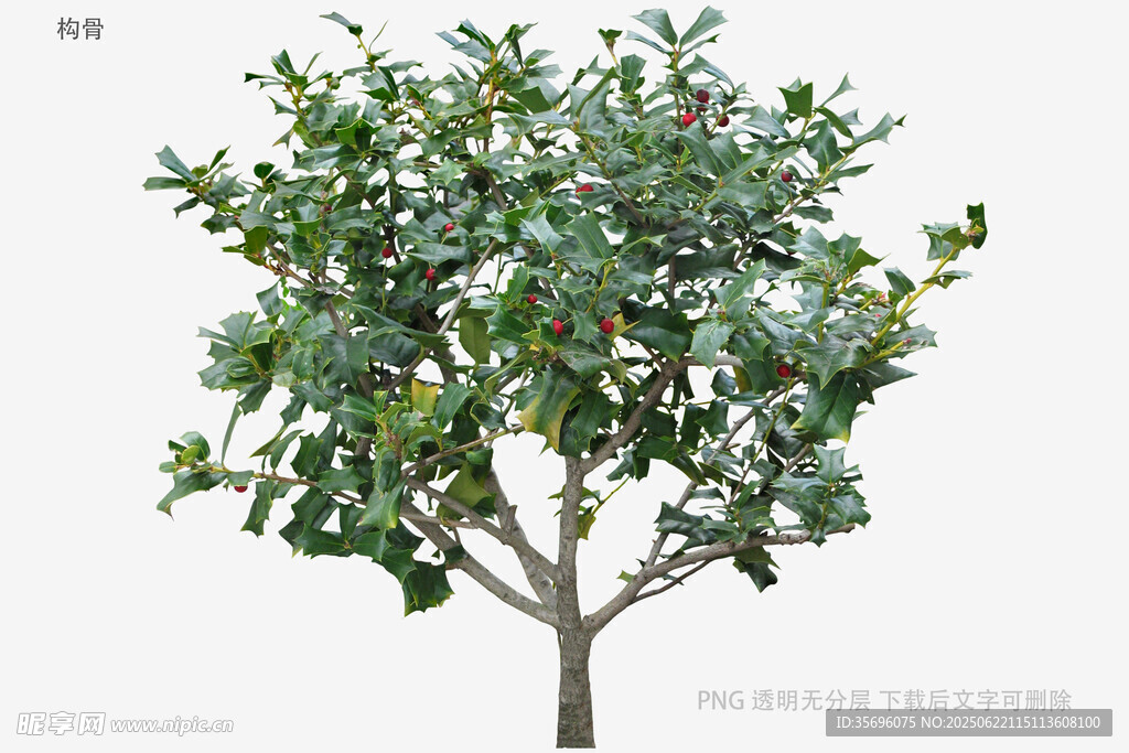 單棵綠植模型