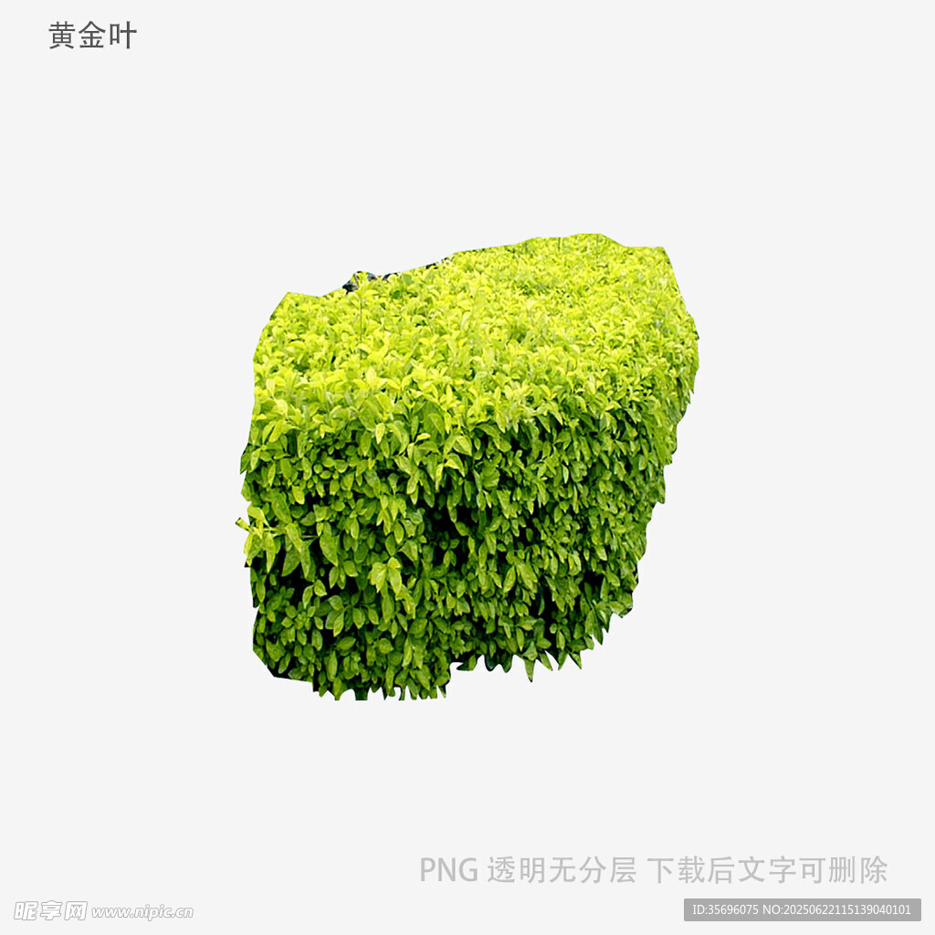 綠色立體草塊