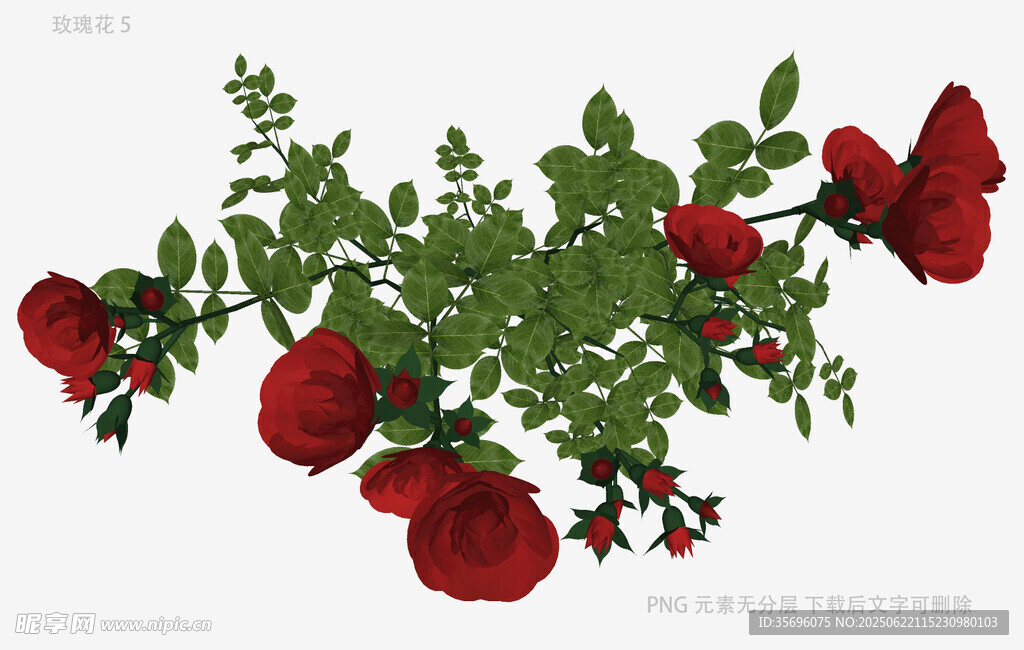 紅玫瑰綠植枝蔓特寫