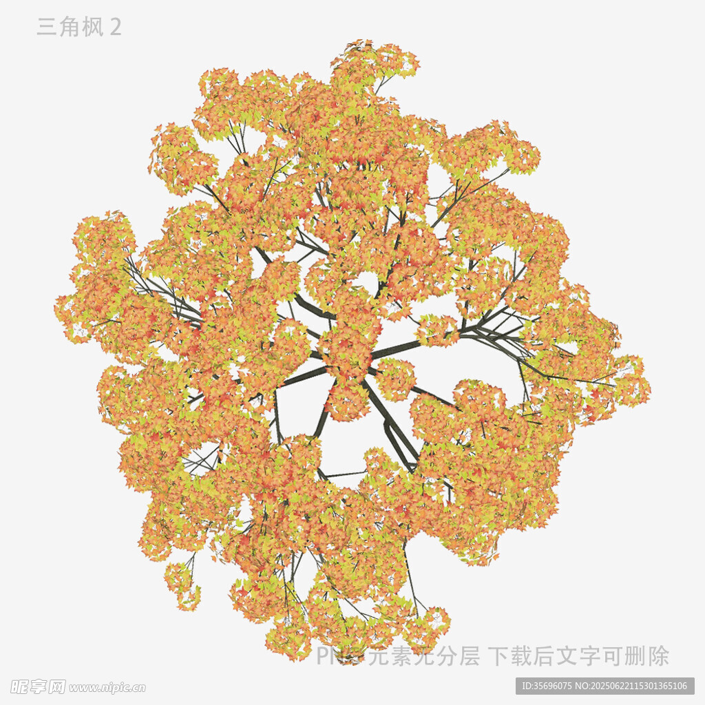 秋日金黃樹葉藝術插畫