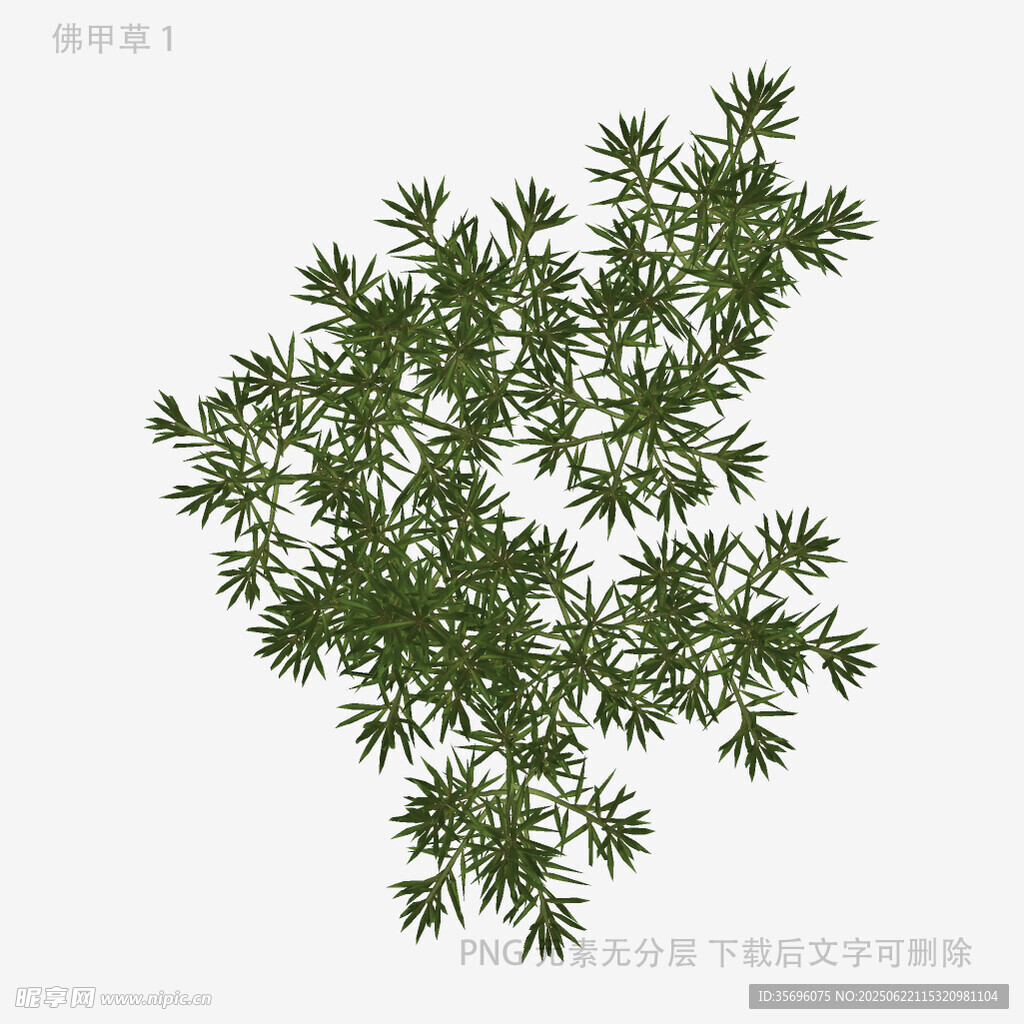 翠綠枝葉植物3D模型