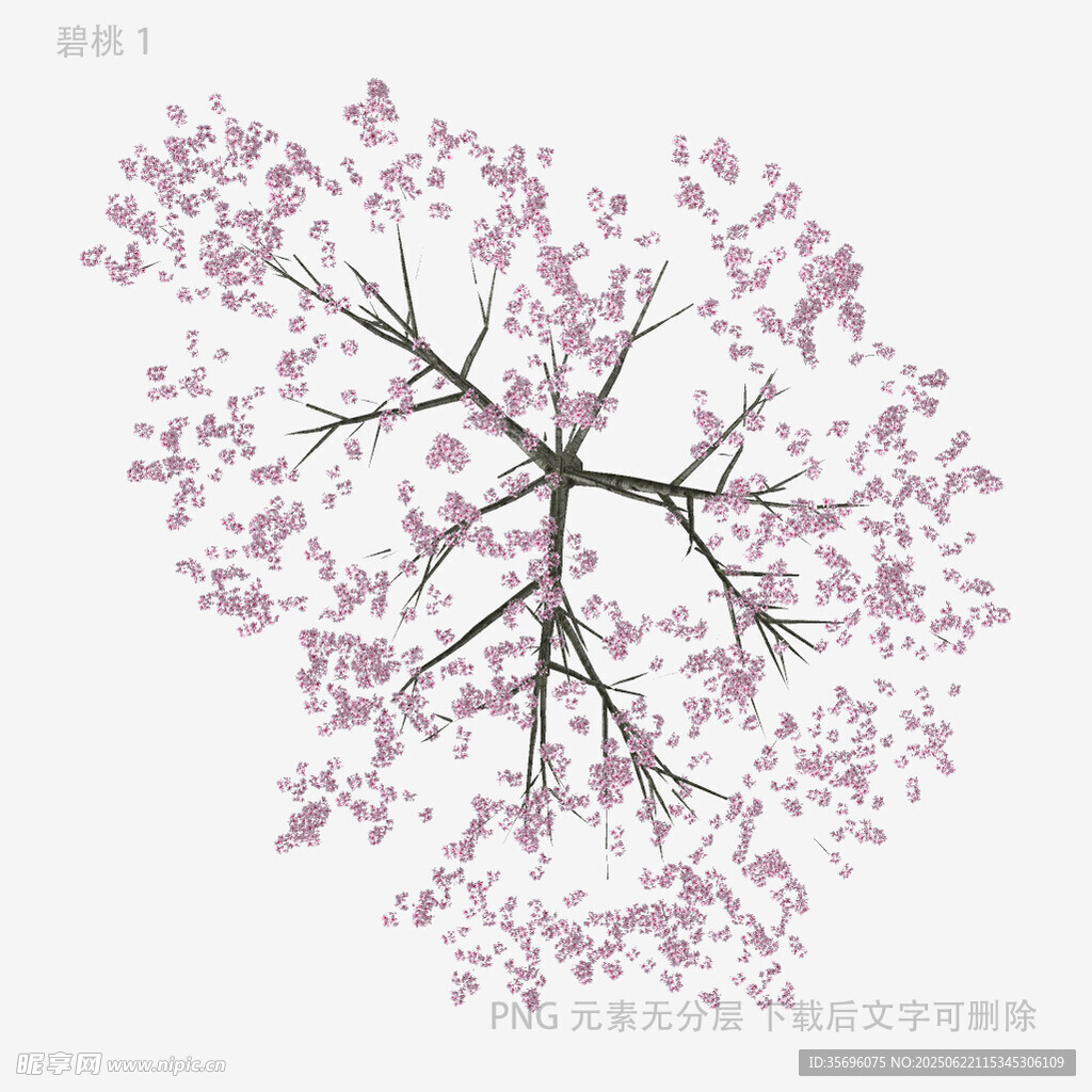 手繪淡粉櫻花樹圖案