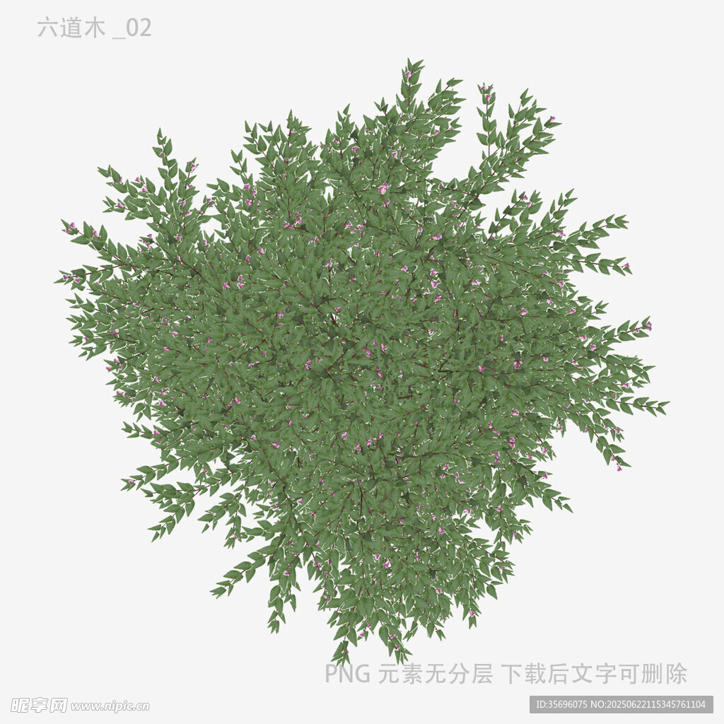 綠色灌木3D模型