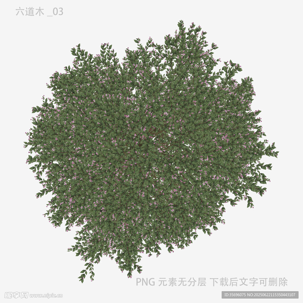 茂盛綠植樹冠3D模型
