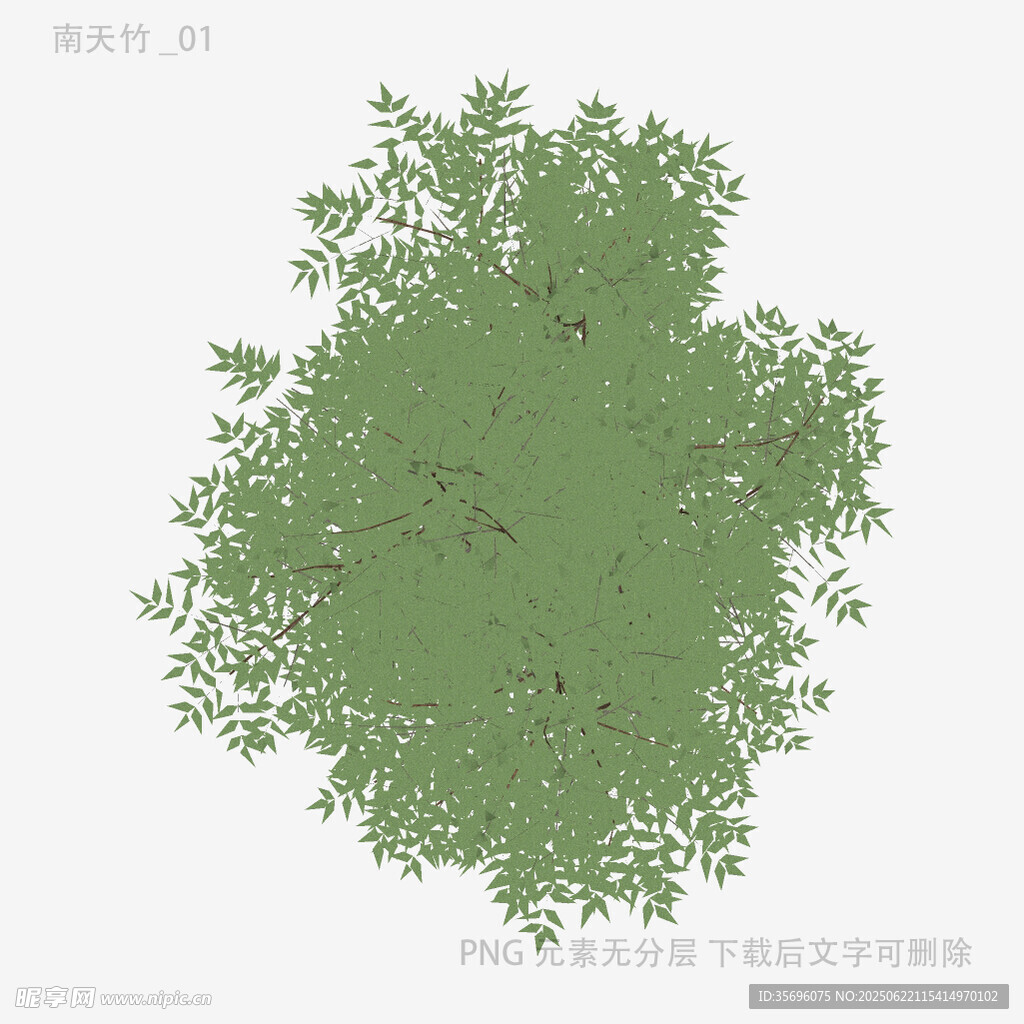 綠色樹冠頂視圖