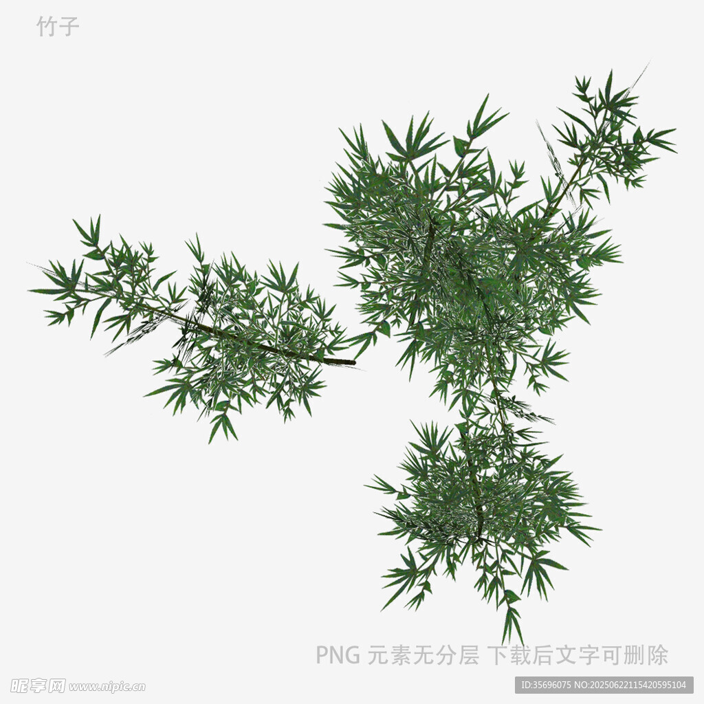 翠綠松樹枝干3D模型