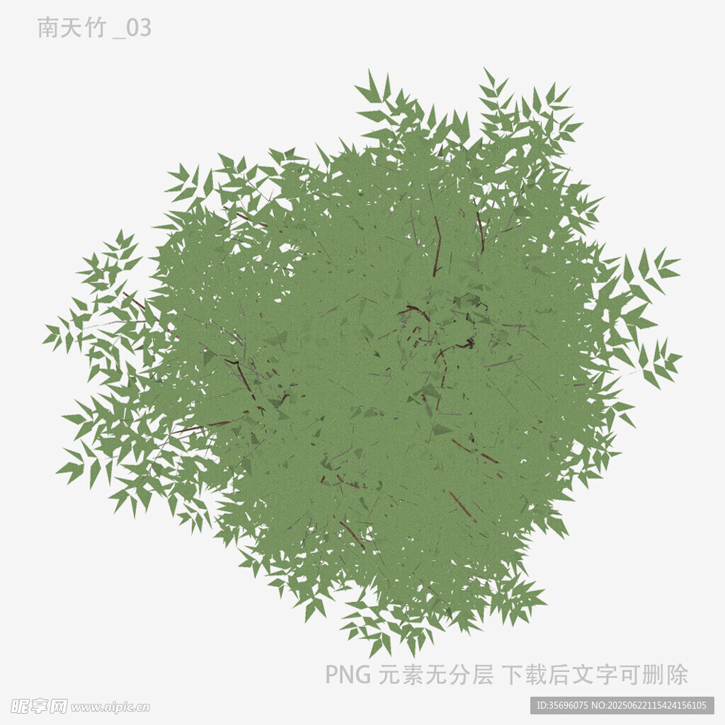 俯視視角綠色灌木頂視圖