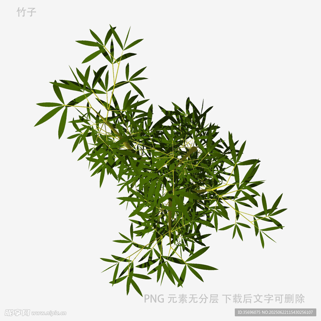 翠綠竹葉植物素材圖