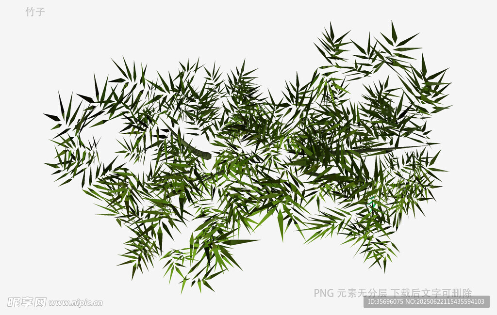 翠綠竹葉植物素材