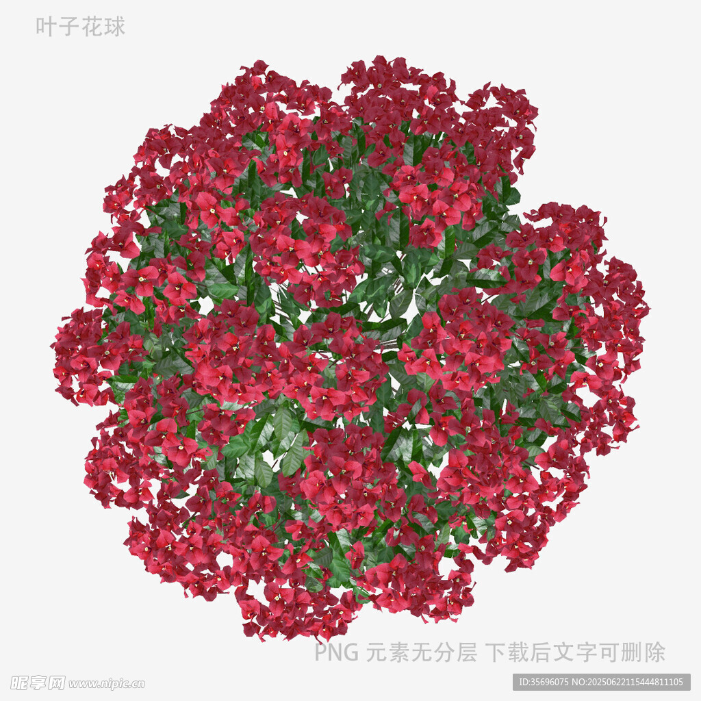 紅色花卉簇擁的美麗景觀