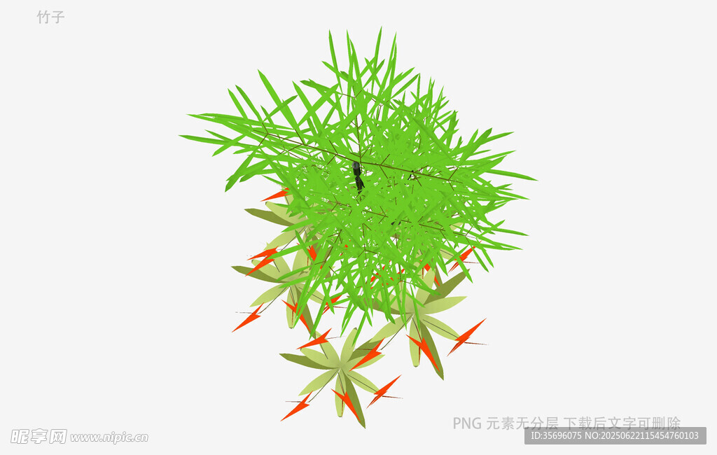 翠綠植物上的橙色小果實