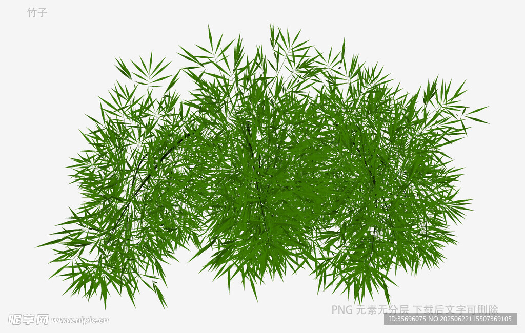 翠綠竹葉植物素材