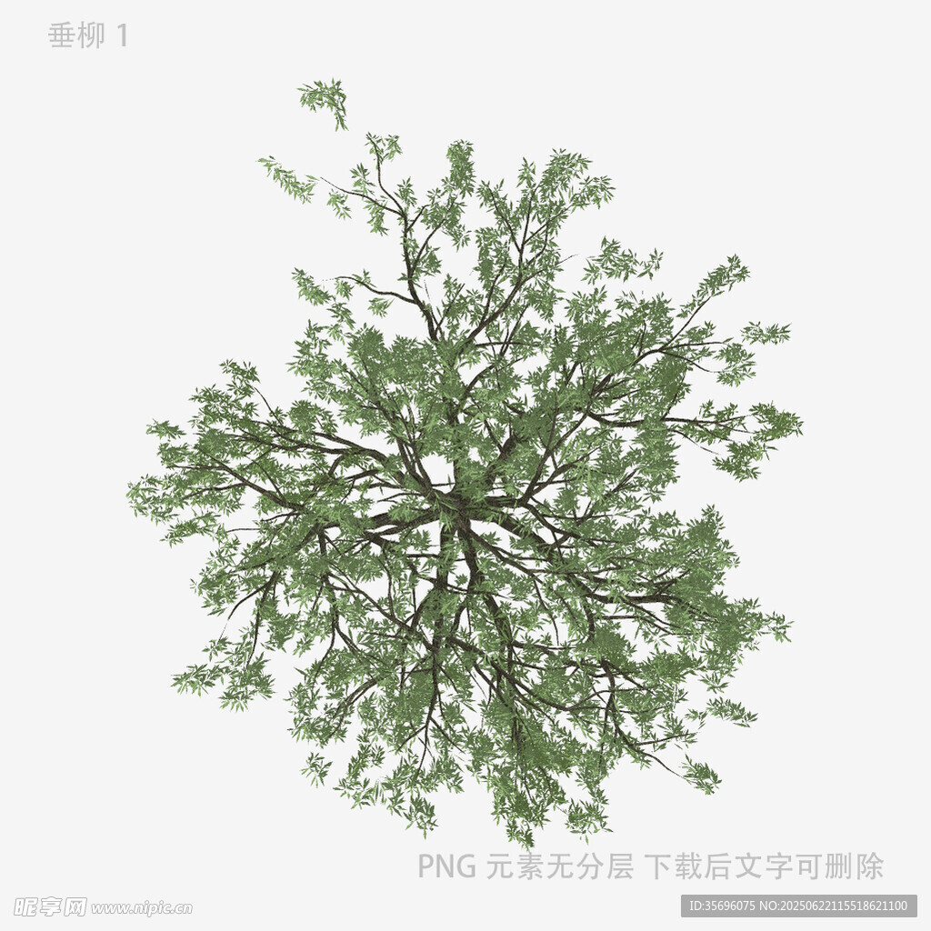 俯視視角綠植3D模型