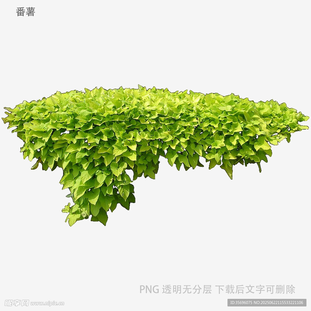 翠綠繁茂的懸空綠植景觀