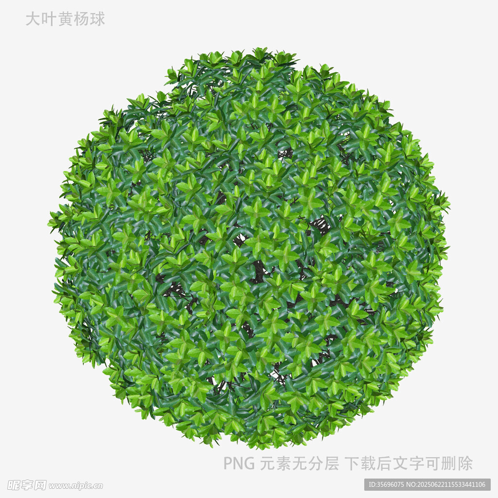 圓形綠植景觀