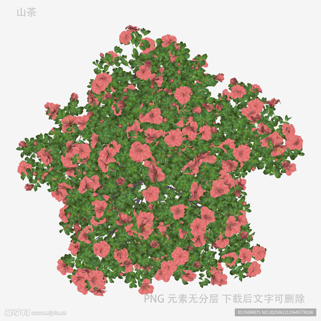 星形花叢景觀設計圖