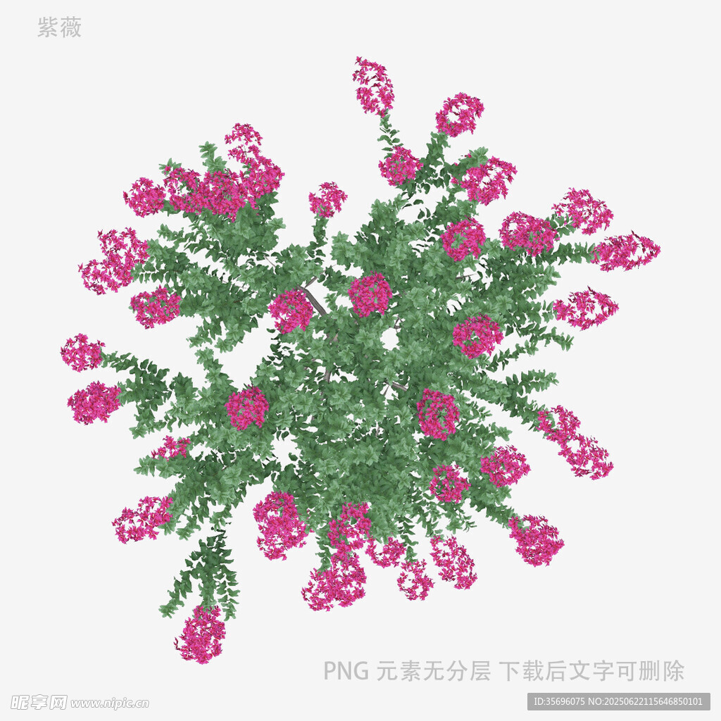 粉色花卉圖案設(shè)計(jì)素材