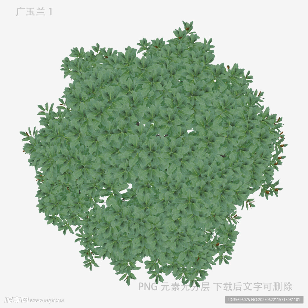 綠色樹冠3D模型