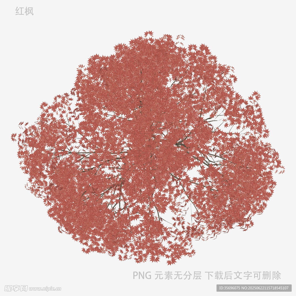 紅色抽象樹狀圖案設計素材