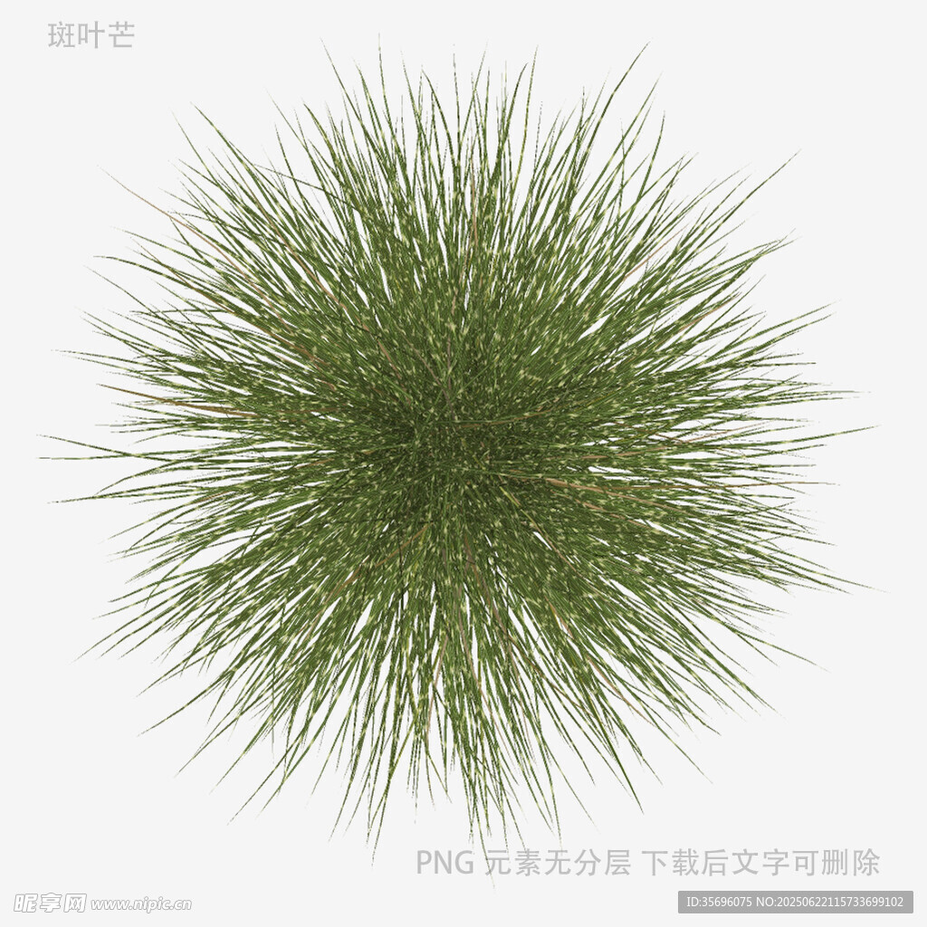 球形綠植3D模型