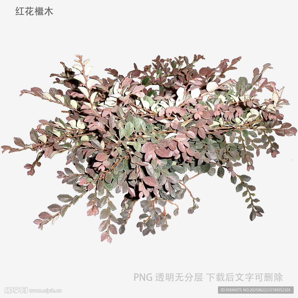 粉色系仿真植物裝飾擺件