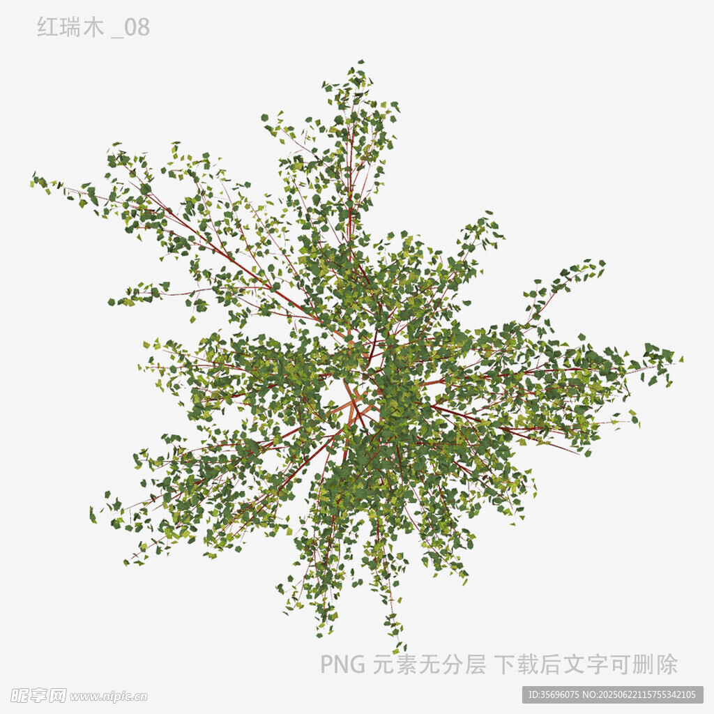 綠色繁茂植物3D模型