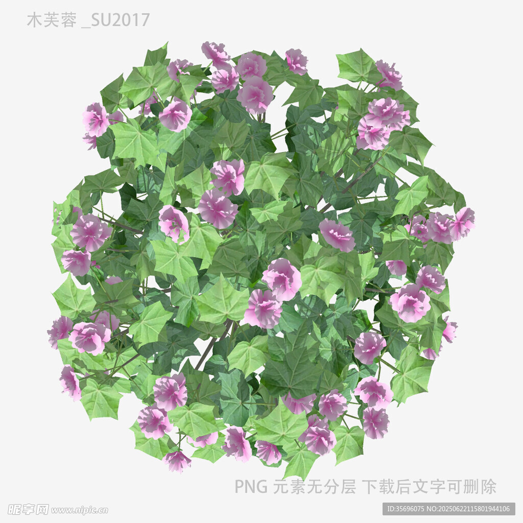 圓形綠植配紫色小花