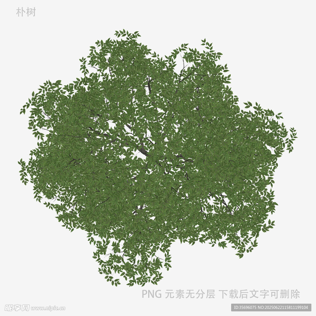 綠色繁茂樹木3D模型